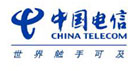 中國電信 — 合作品牌